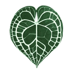 A uniquely designed elephant ear shaped hand tufted wool area rug, perfect for adding a natural touch to your bedroom or dining room. This round rug features an intricate pattern resembling an elephant ear leaf, ideal for those seeking stylish rugs for the bedroom or dining room area rugs.