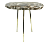 Petrified Wood Agate Quartz Organic Edge Accent Table Silver