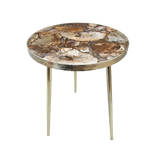 Petrified Wood Agate Round Edge Side Coffee Table