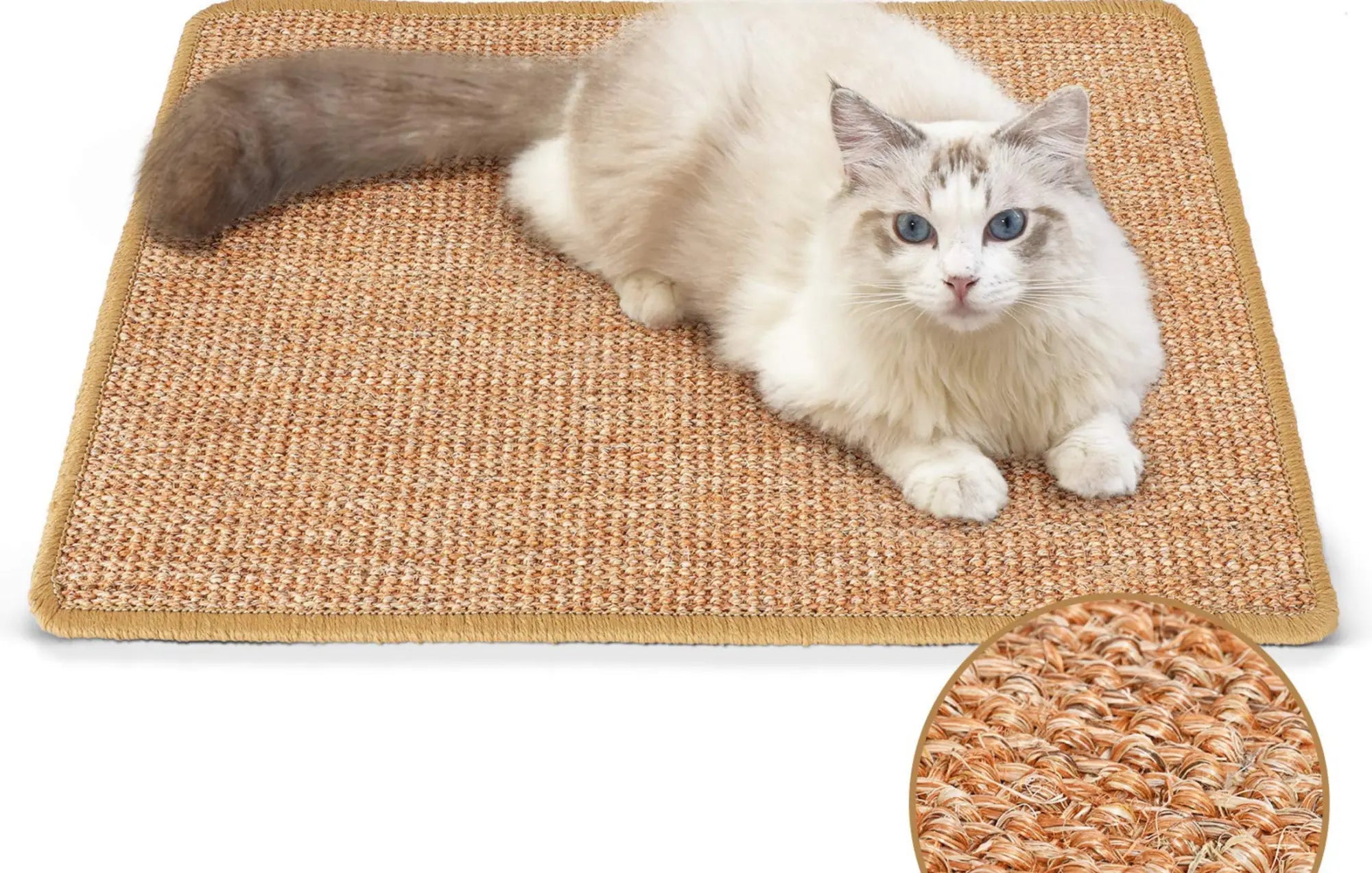 Best Rugs for Cats Who Scratch and How to Keep Them Safe