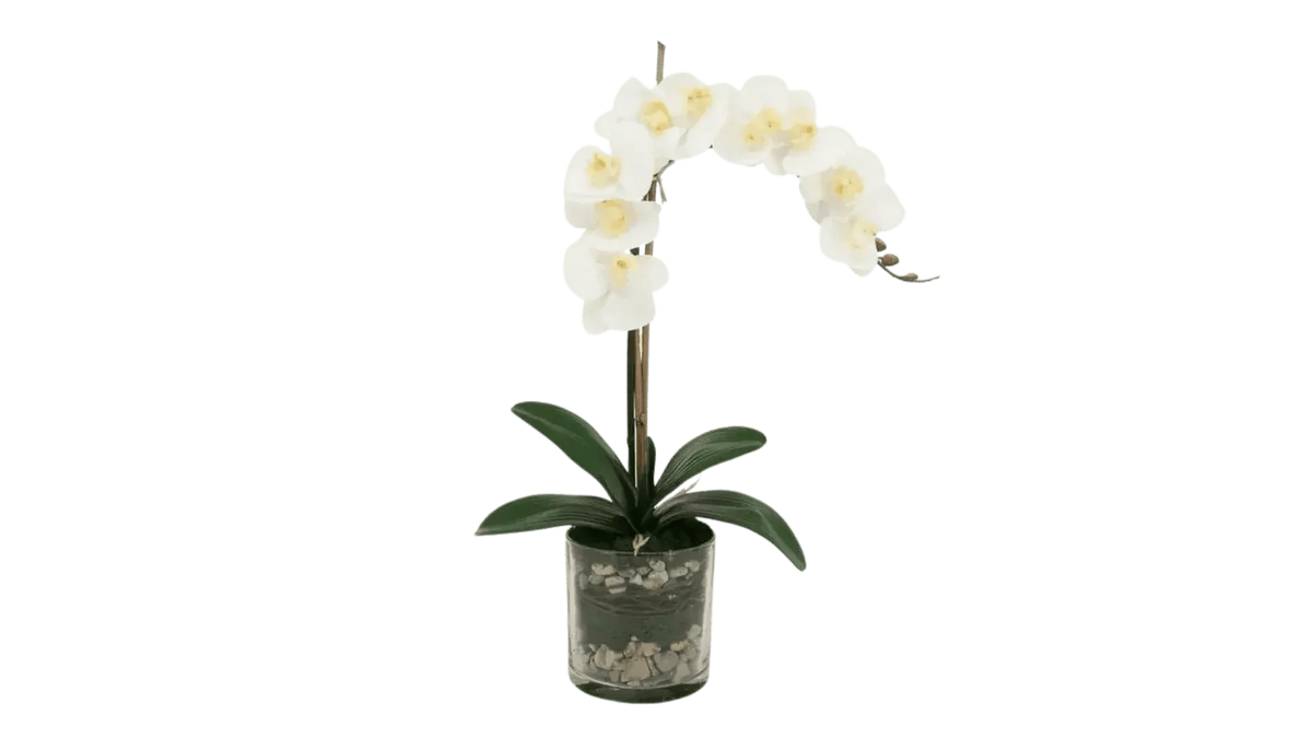 Faux Flowers - MAIA HOMES