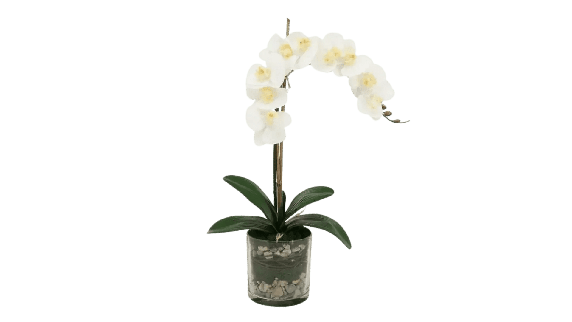 Faux Flowers - MAIA HOMES