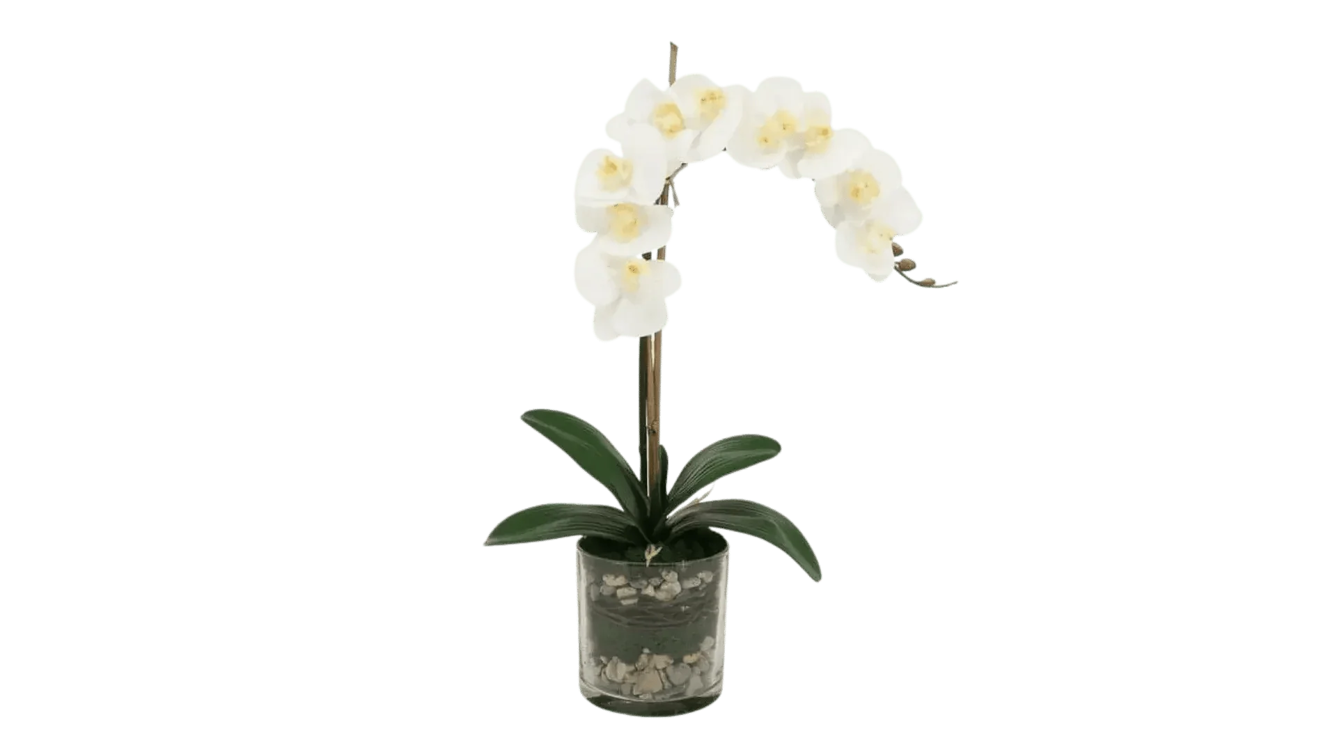 Faux Flowers - MAIA HOMES