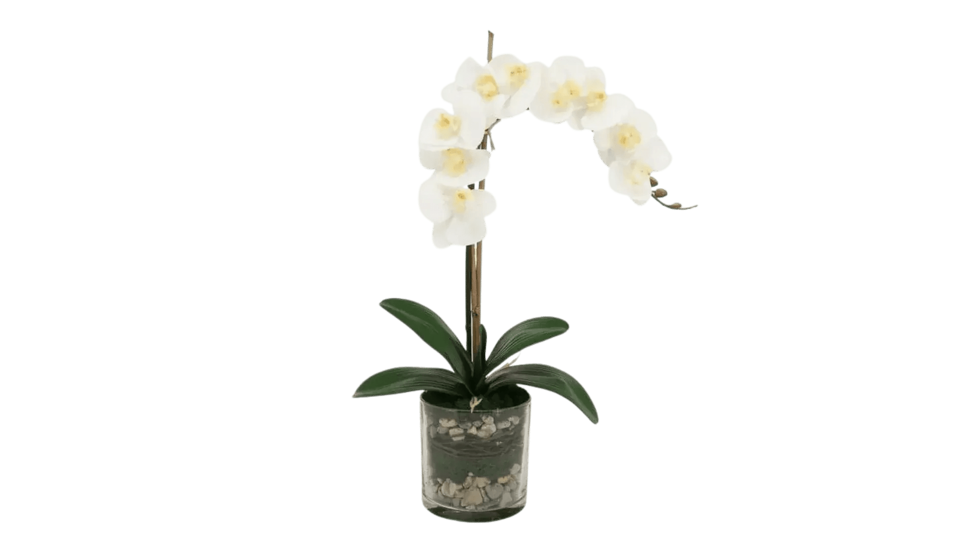 Faux Flowers - MAIA HOMES