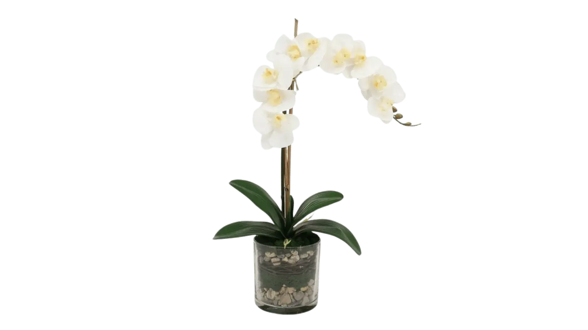 Faux Flowers - MAIA HOMES