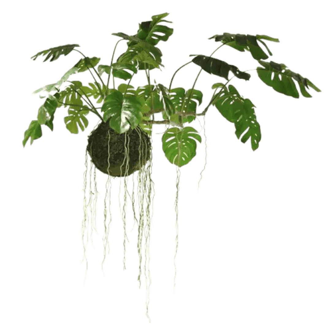 Faux Plants - MAIA HOMES