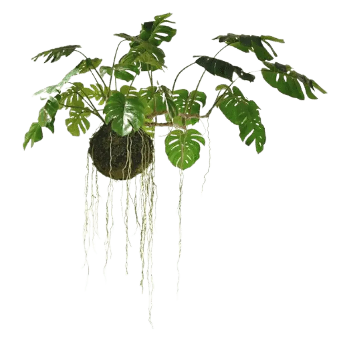 Faux Plants - MAIA HOMES