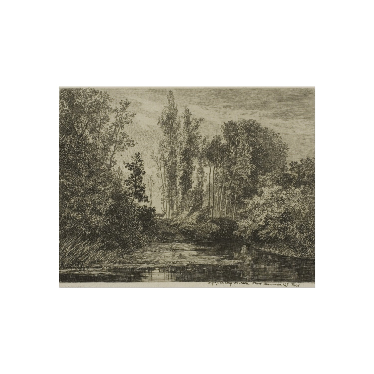 Charles François Daubigny - Stags at the Water's Edge | Fine Art Poster