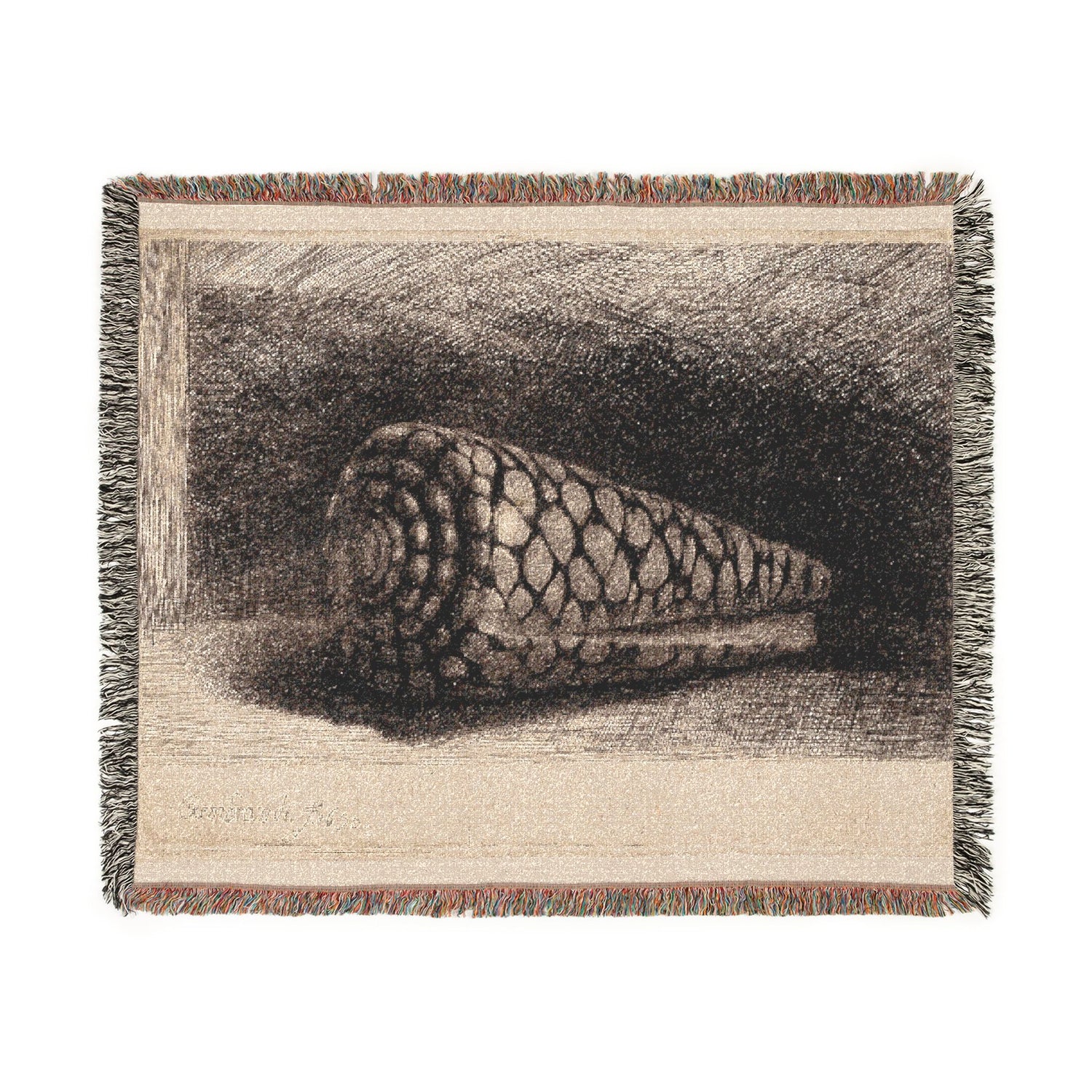 The Shell - Rembrandt van Rijn Tapestry Blanket