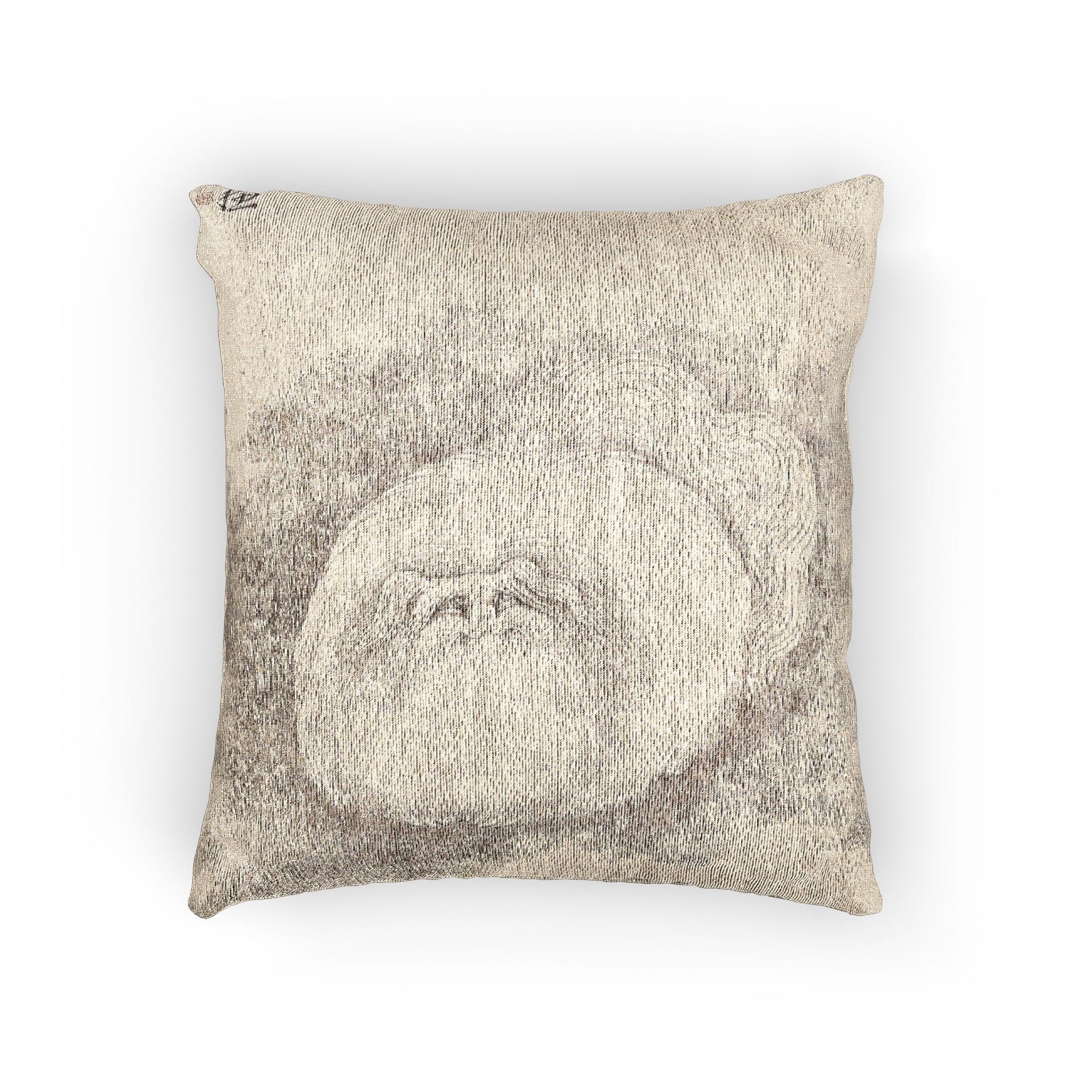 Cat and Butterfly Pillow