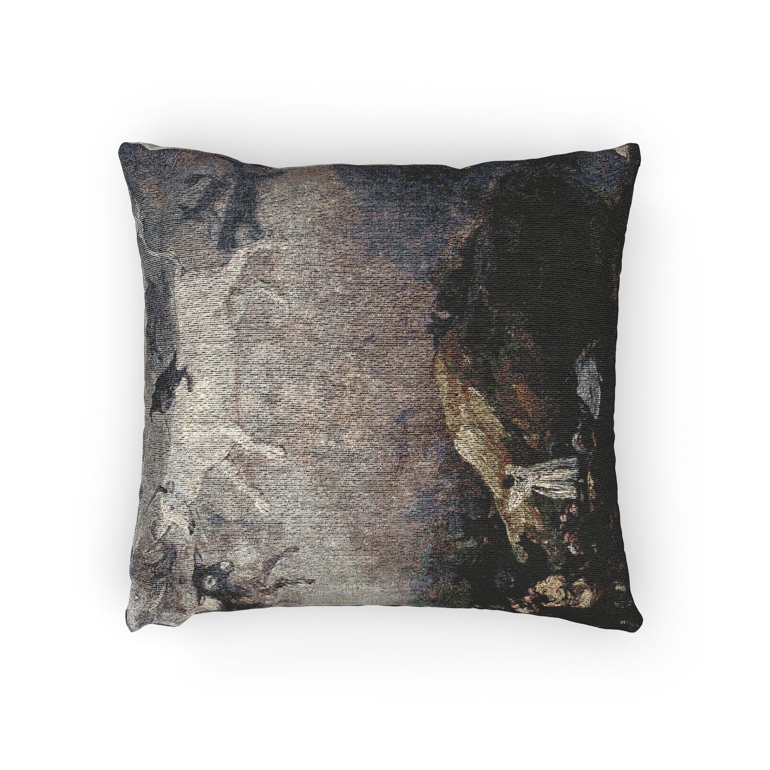Caprice - Francisco de Goya Pillow