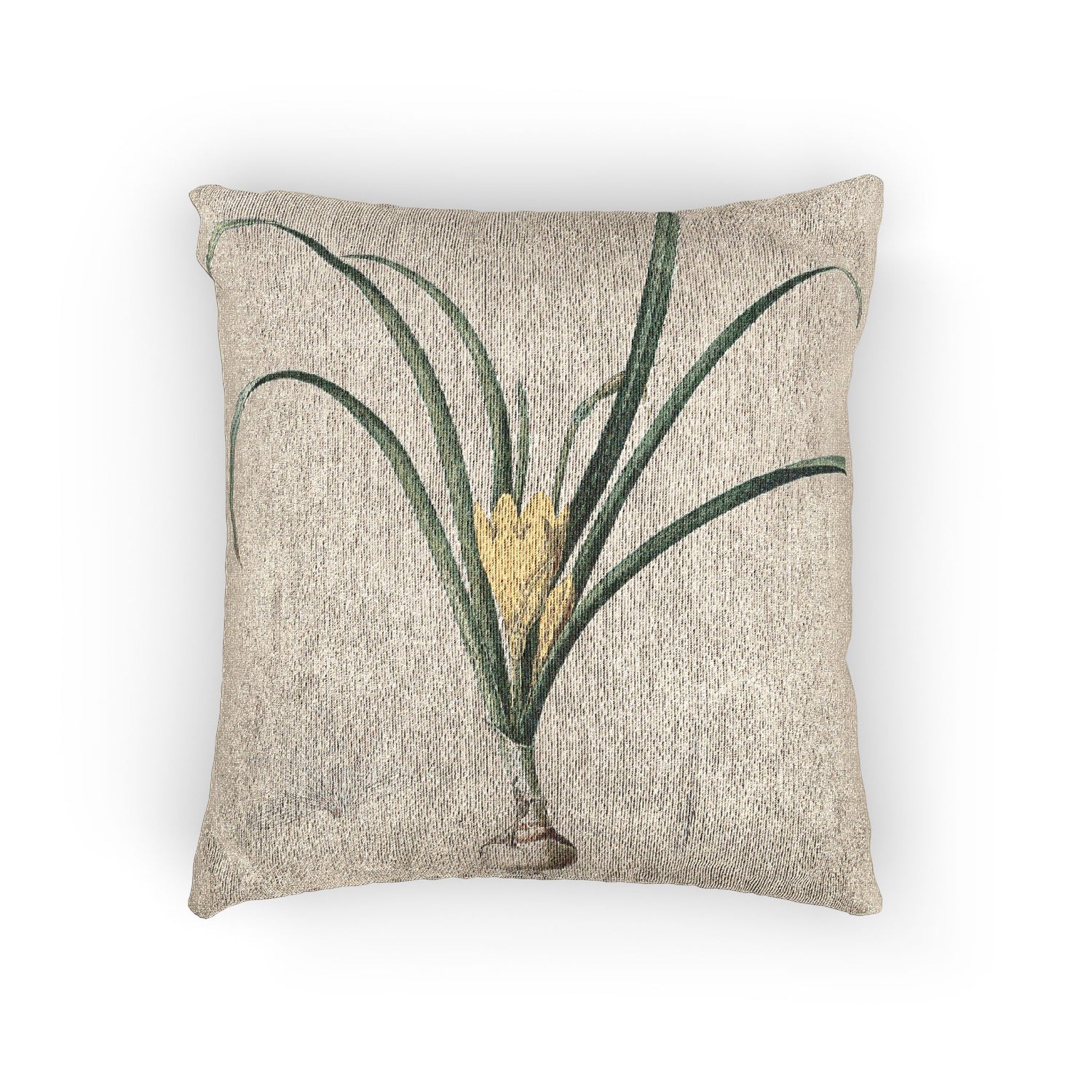 Amaryllis - P. J. Redouté Pillow