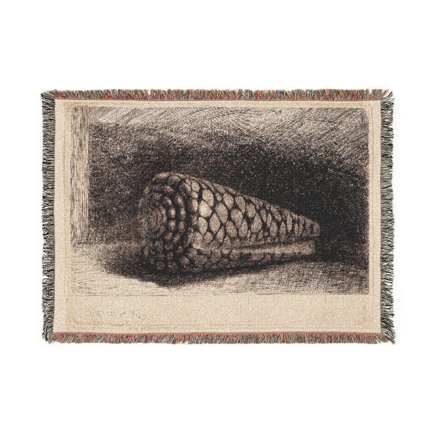 The Shell - Rembrandt van Rijn Tapestry Blanket