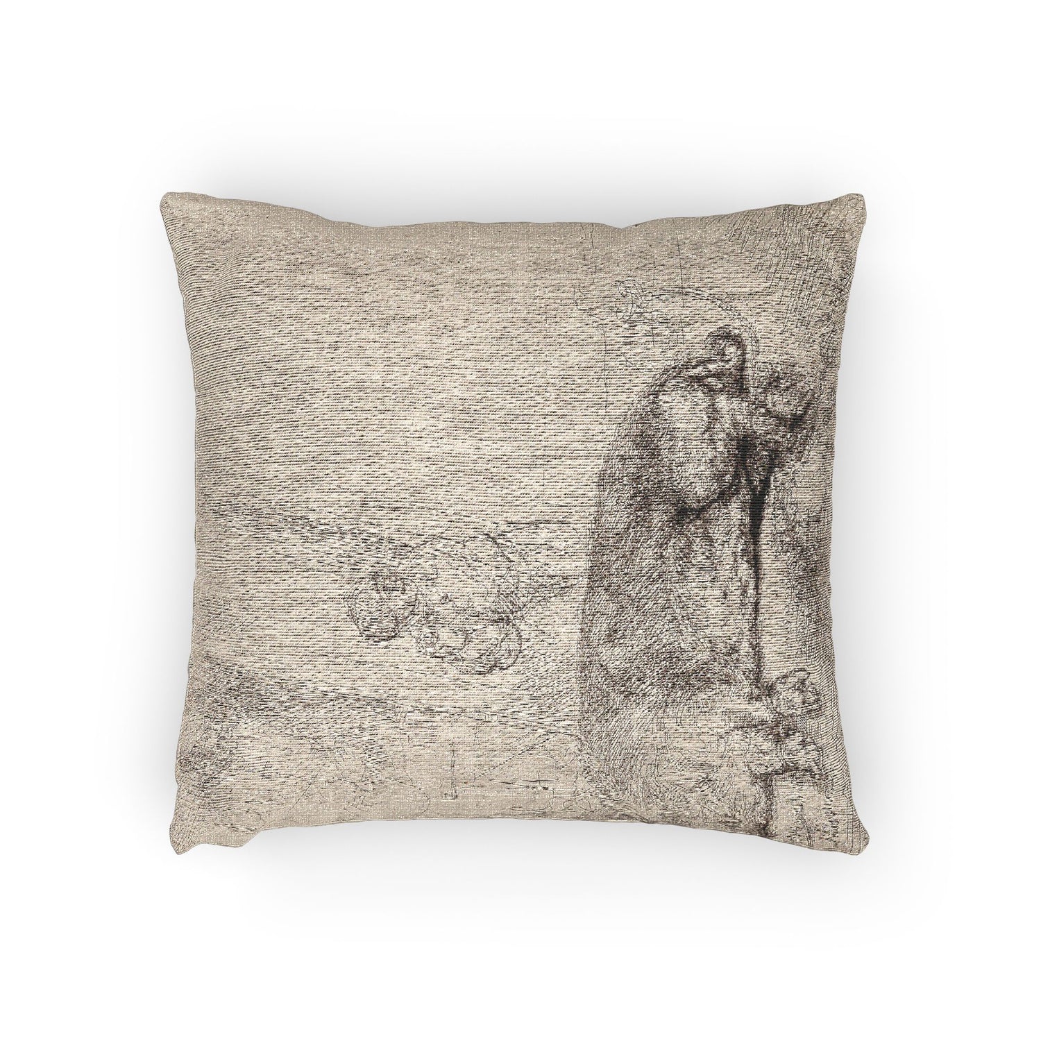 Rembrandt van Rijn - The Hog | Woven Pillow