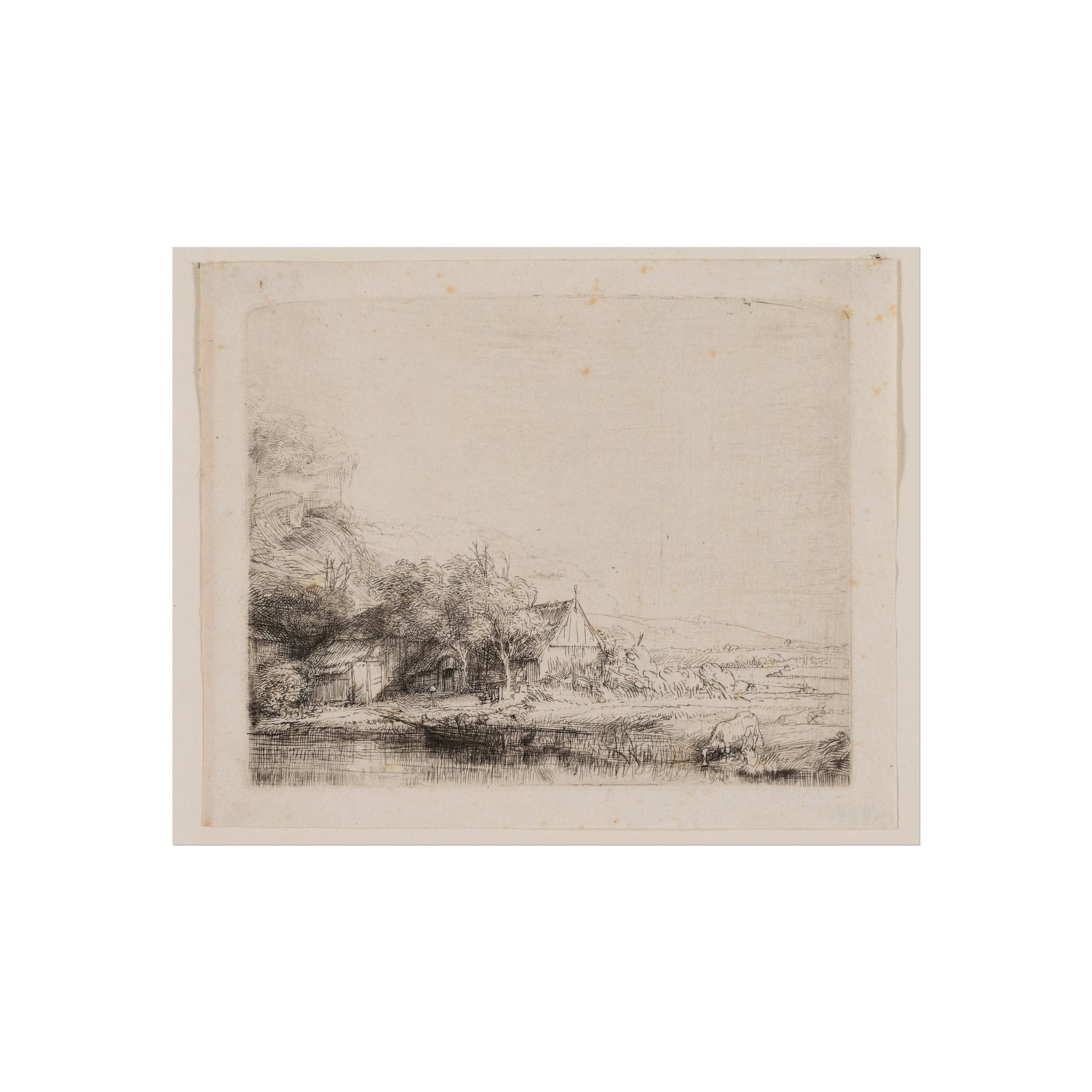 Rembrandt van Rijn - Landscape with a Cow Drinking | Fine Art Poster