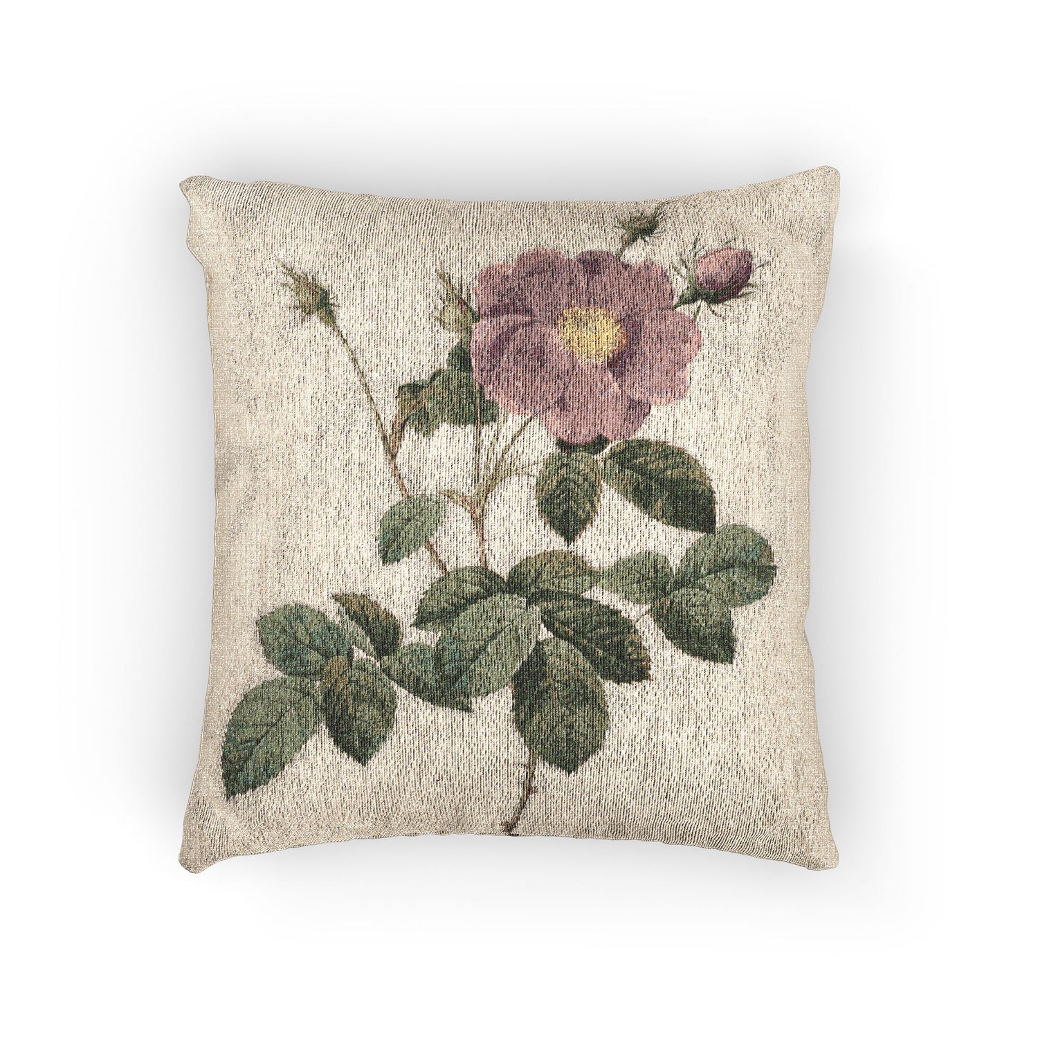 Cabbage Rose - P. J. Redouté Pillow