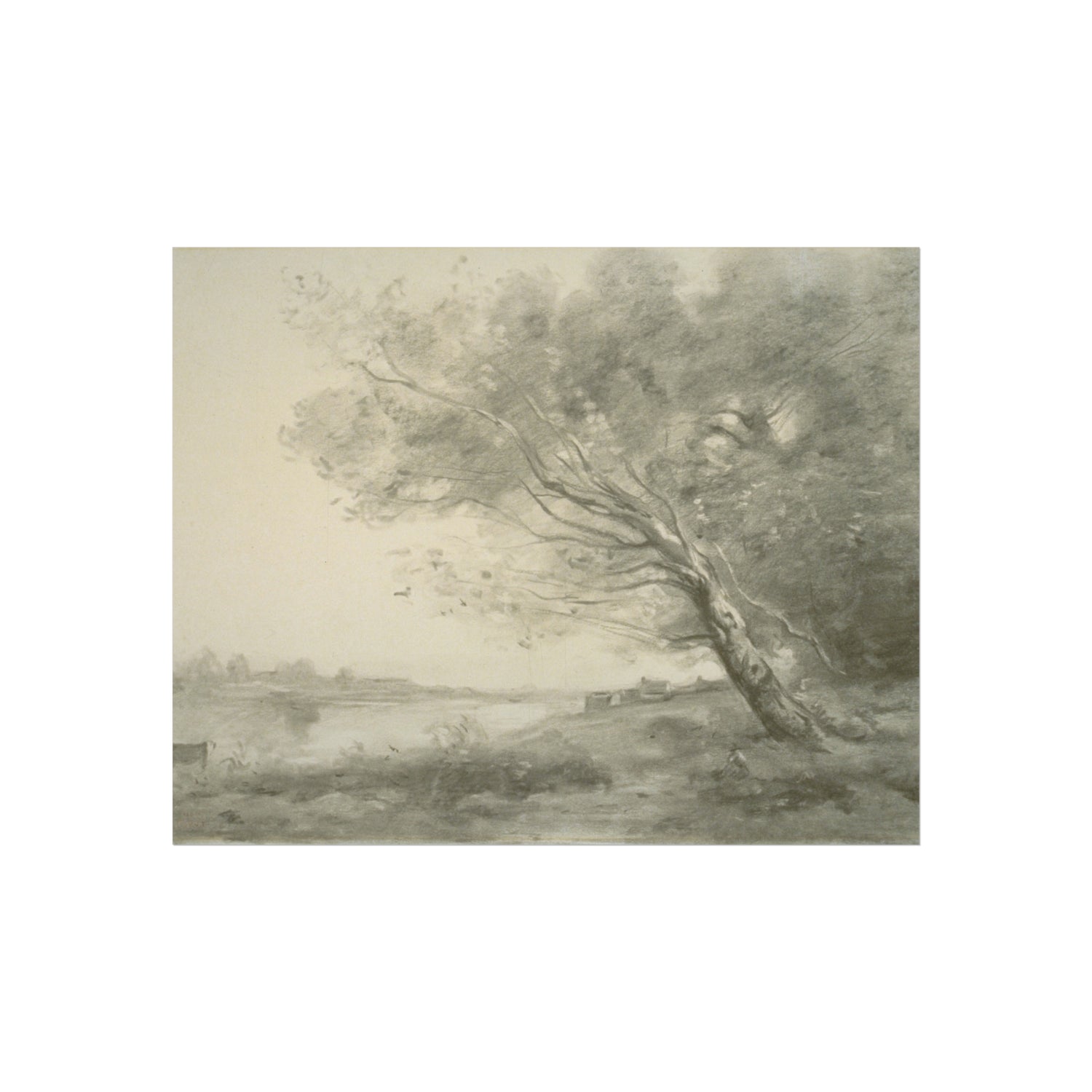 Jean Baptiste Camille Corot - Bent Tree by the Water | Fine Art Poster