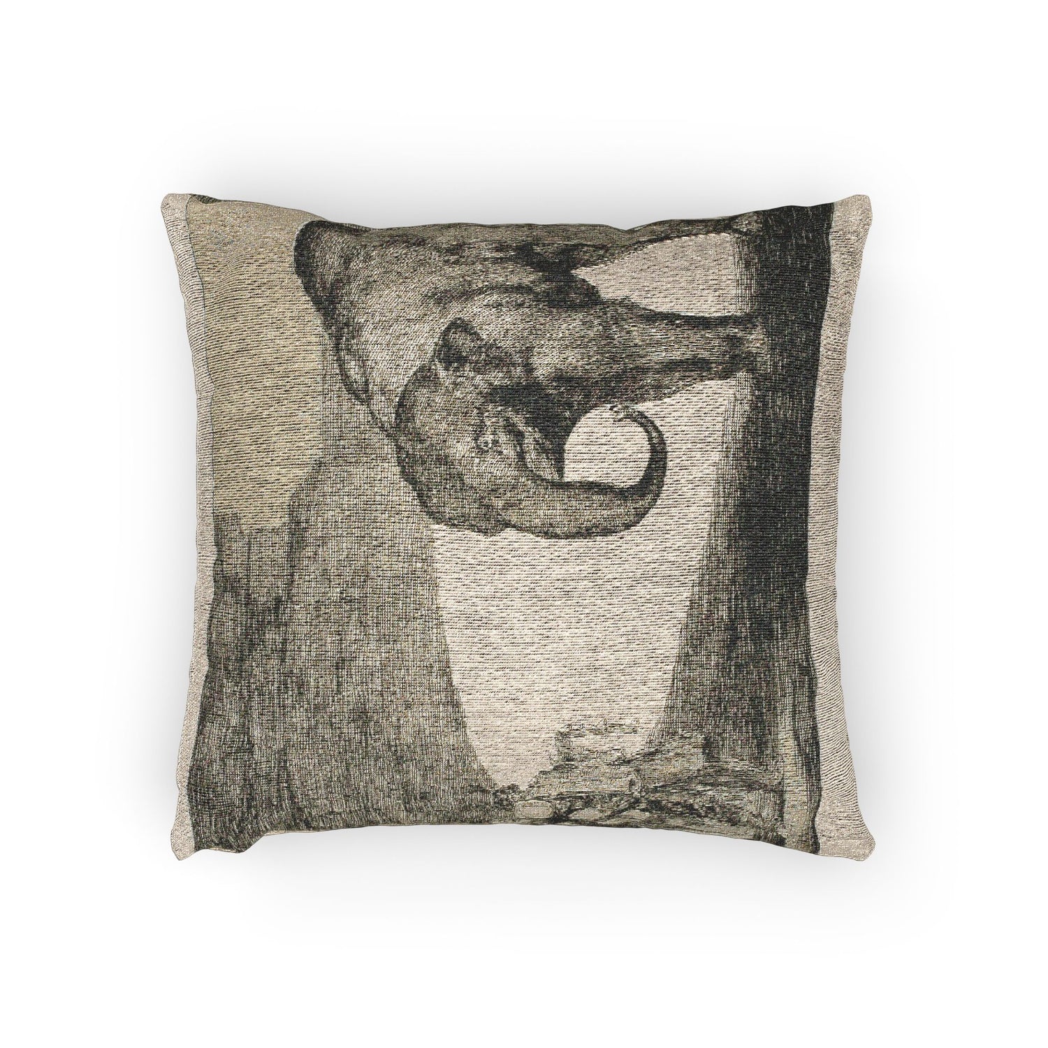 Animal Folly - Francisco José de Goya y Lucientes Pillow