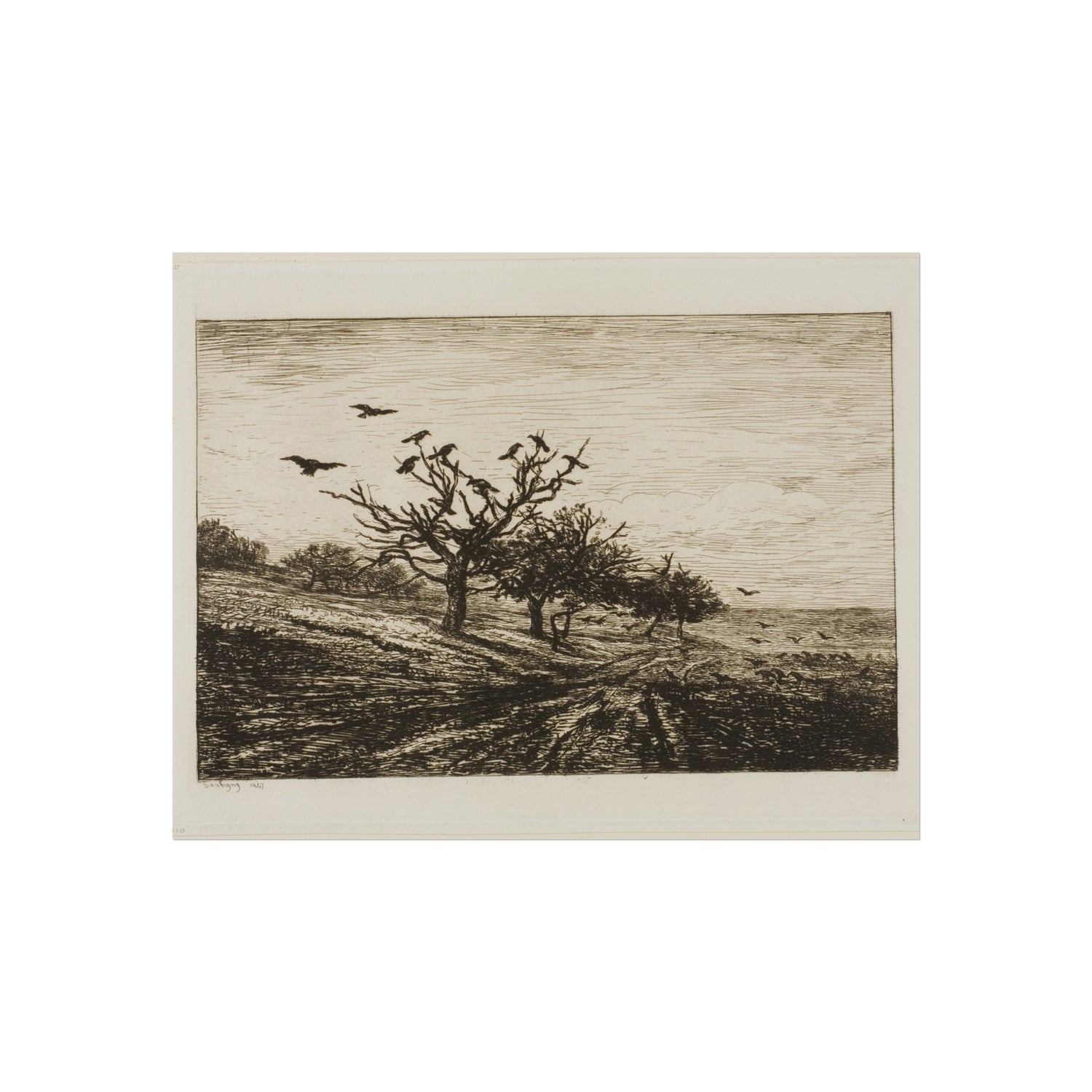 Crows in a Tree - Charles François Daubigny Fine Art Poster