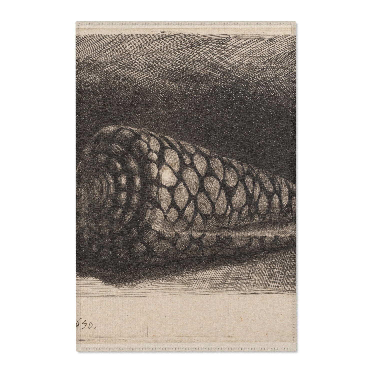 The Shell - Rembrandt van Rijn Area Rug