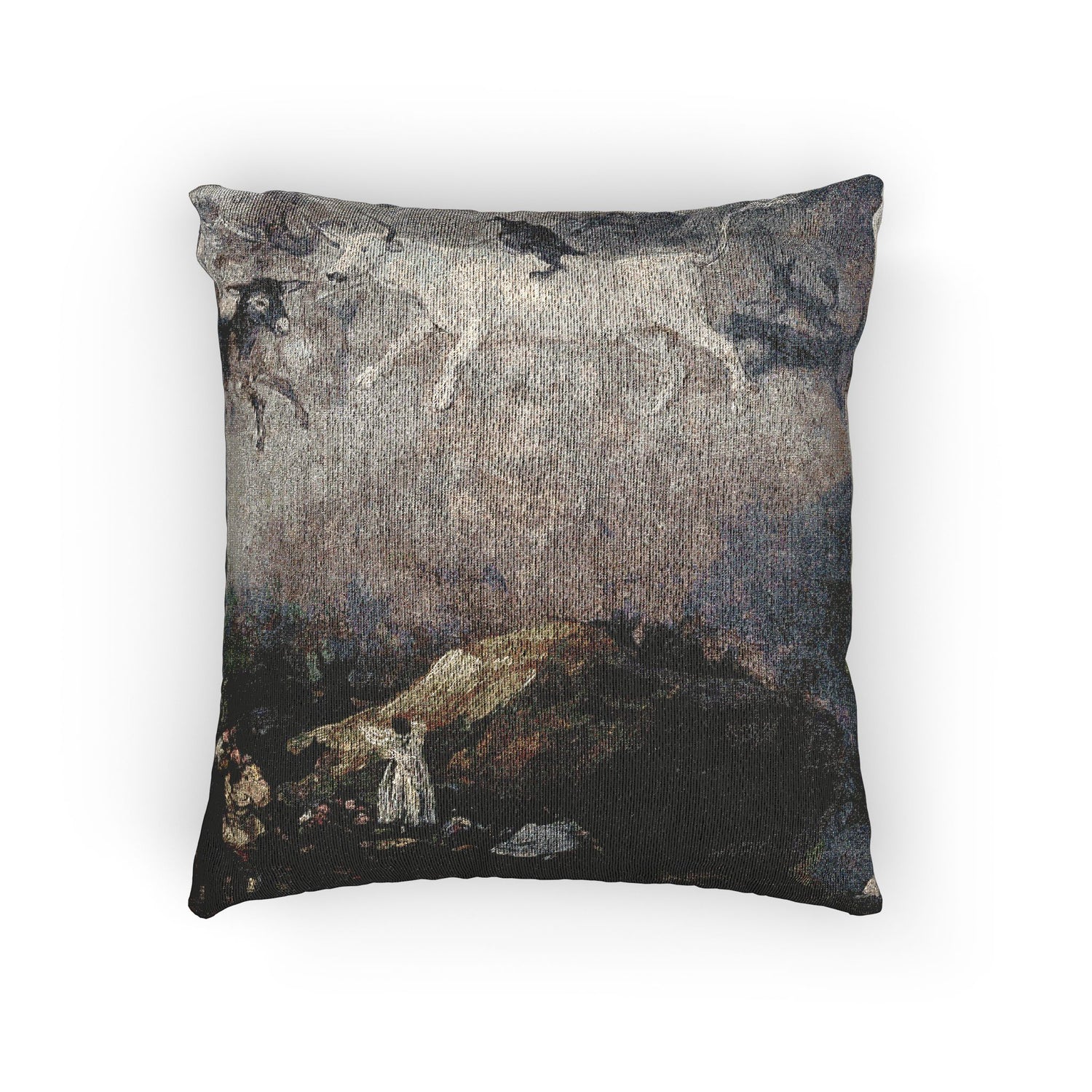 Caprice - Francisco de Goya Pillow