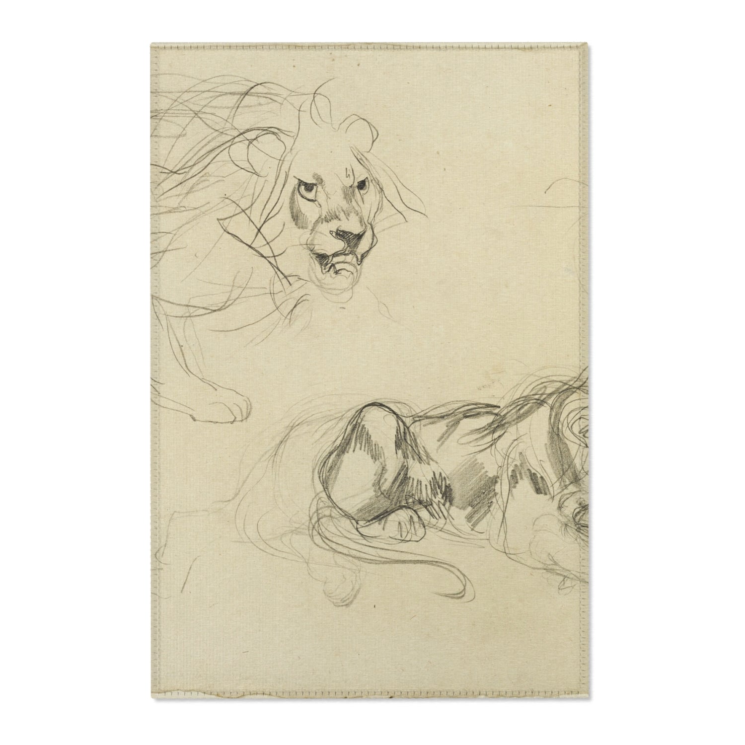 Studies of Lions - Eugène Delacroix Area Rug