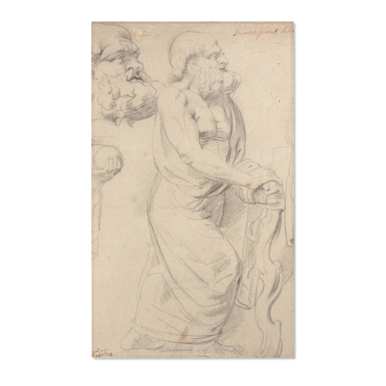Studies of a Roman Sarcophagus - Peter Paul Rubens Area Rug