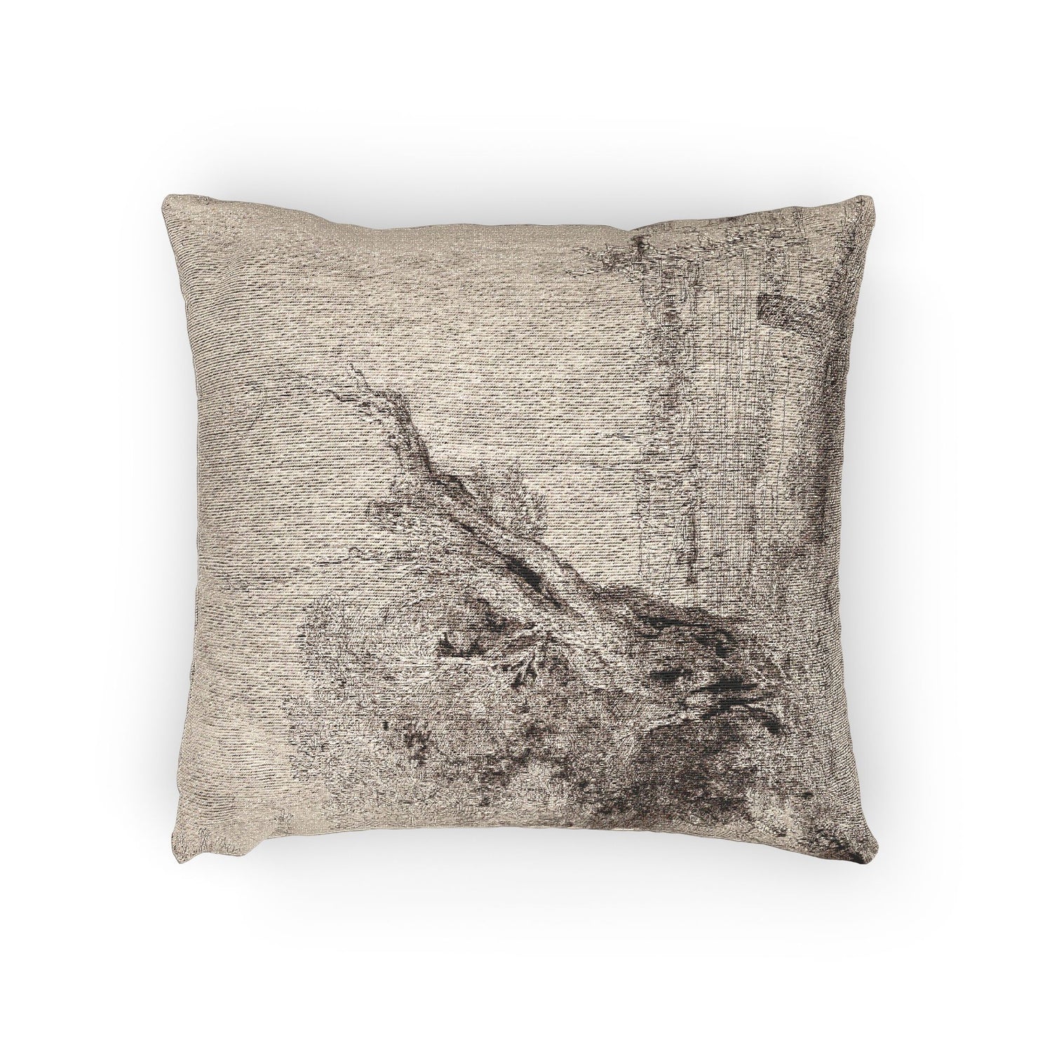 Rembrandt van Rijn - The Omval | Woven Pillow