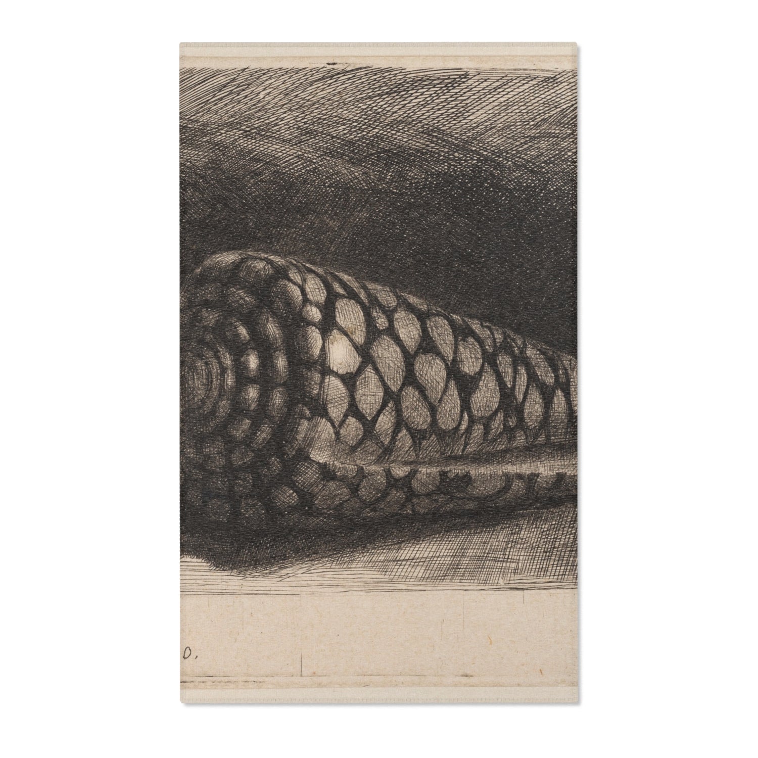 The Shell - Rembrandt van Rijn Area Rug