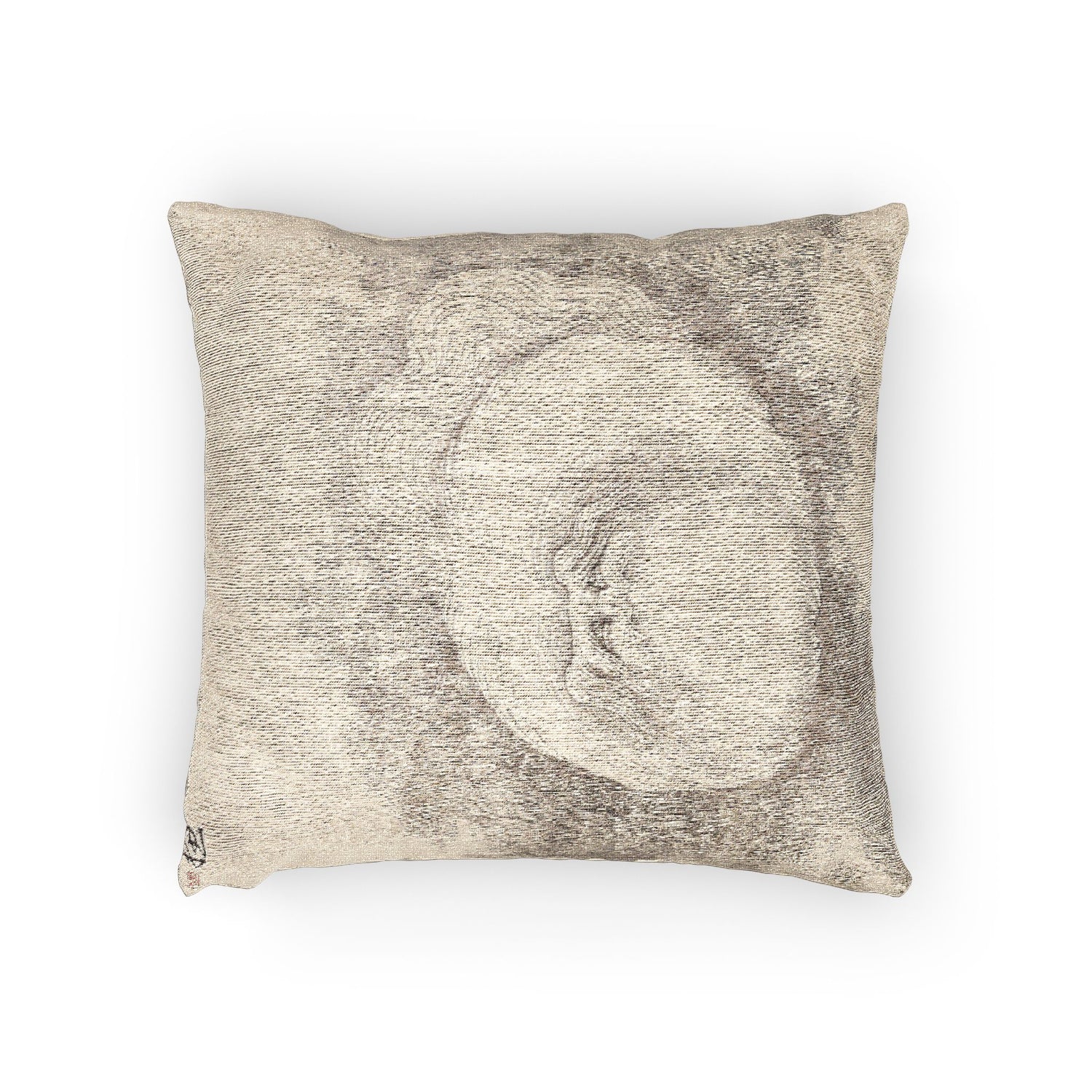 Cat and Butterfly Pillow
