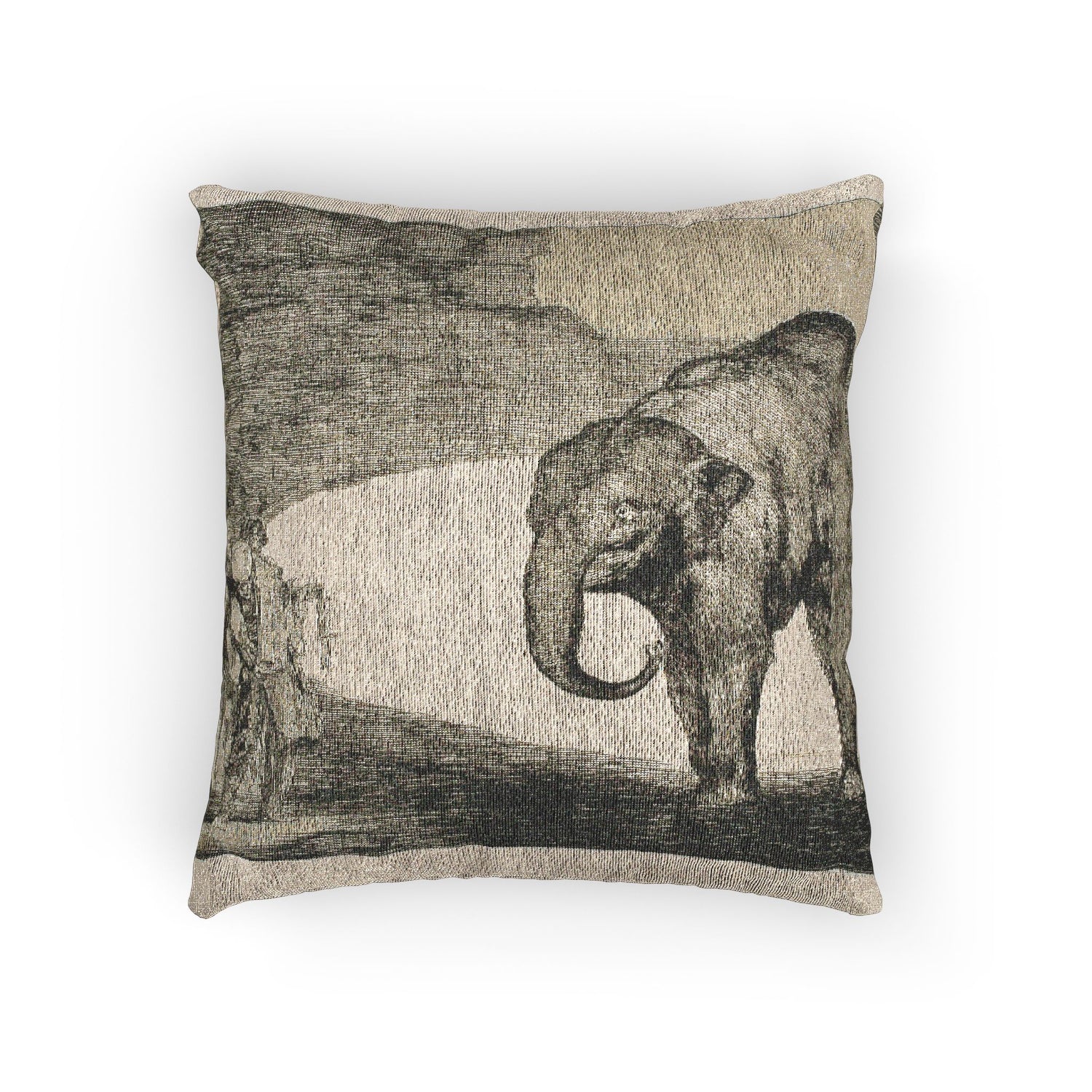 Animal Folly - Francisco José de Goya y Lucientes Pillow