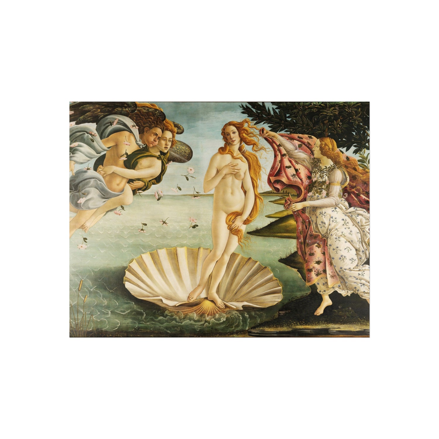 La Nascita di Venere - Sandro Botticelli Fine Art Poster