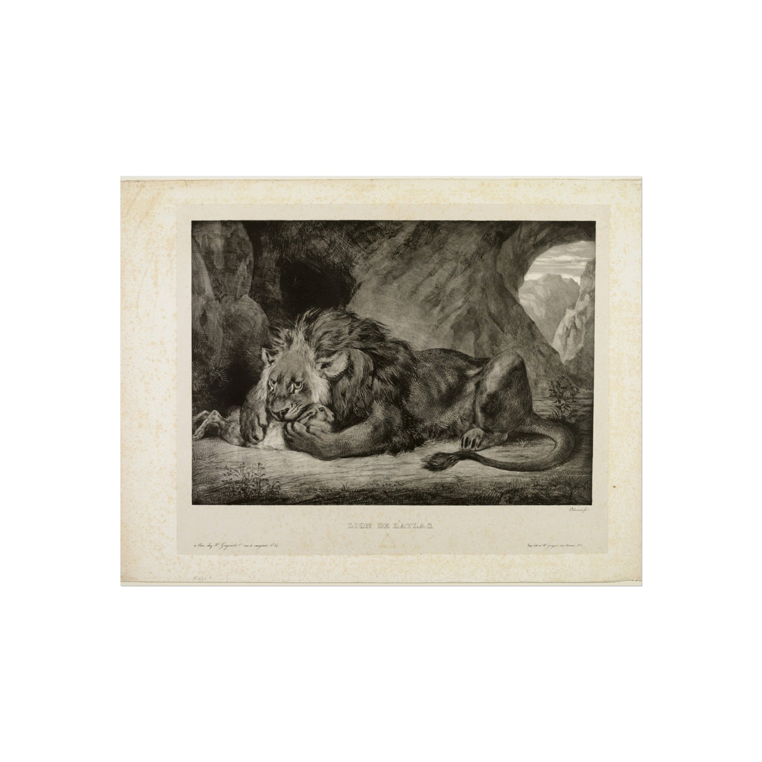Lion of the Atlas Mountains - Eugène Delacroix Fine Art Poster
