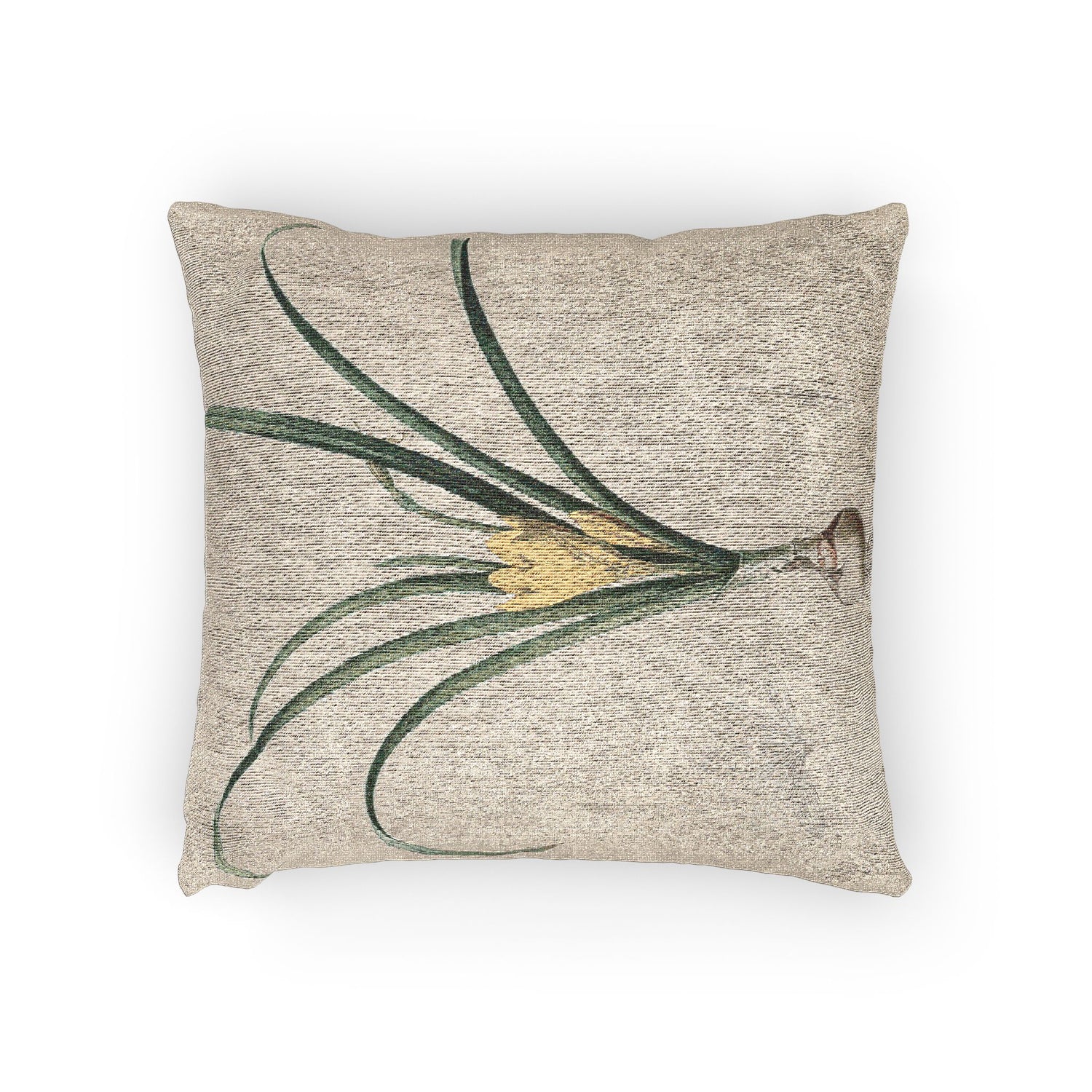 Amaryllis - P. J. Redouté Pillow
