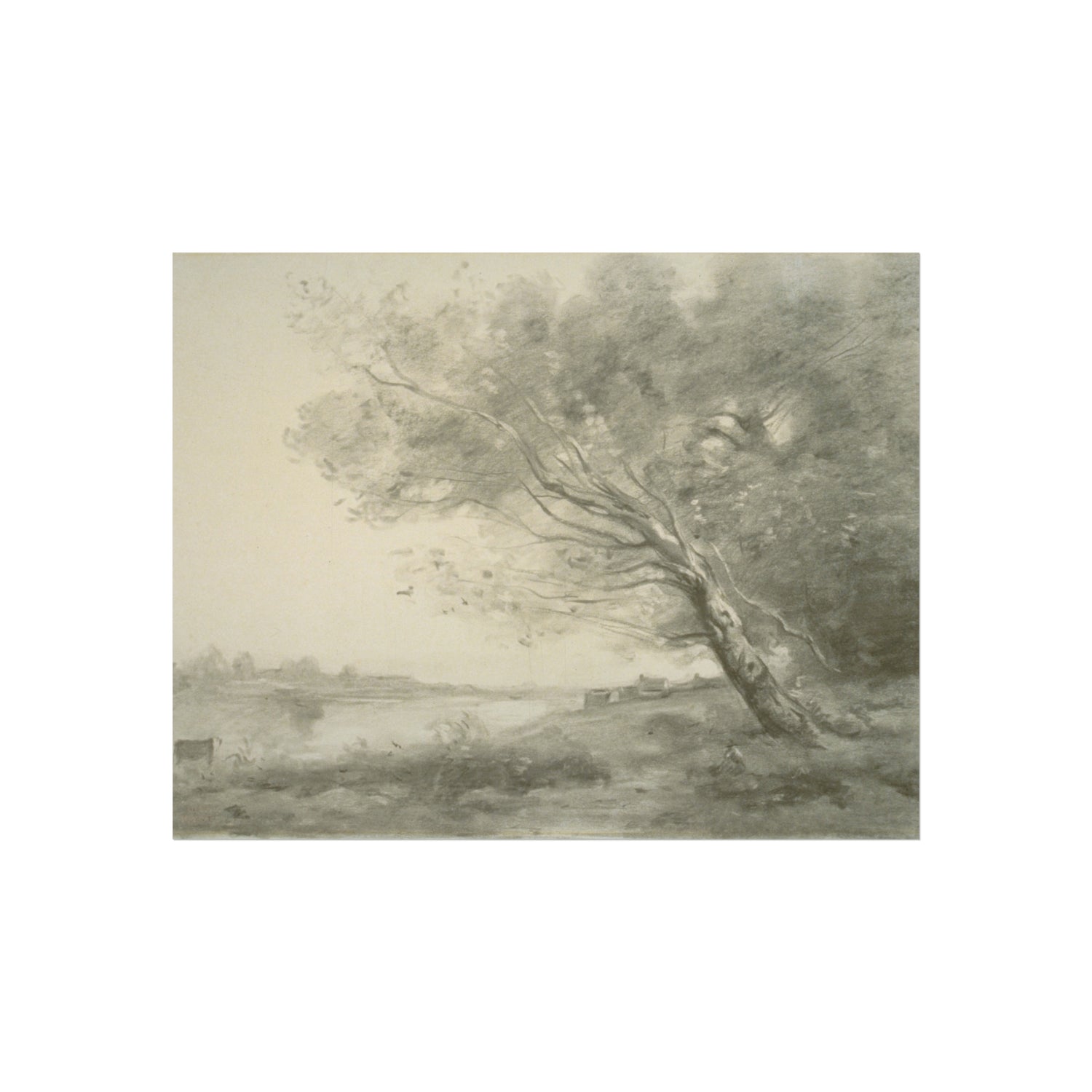 Jean Baptiste Camille Corot - Bent Tree by the Water | Fine Art Poster