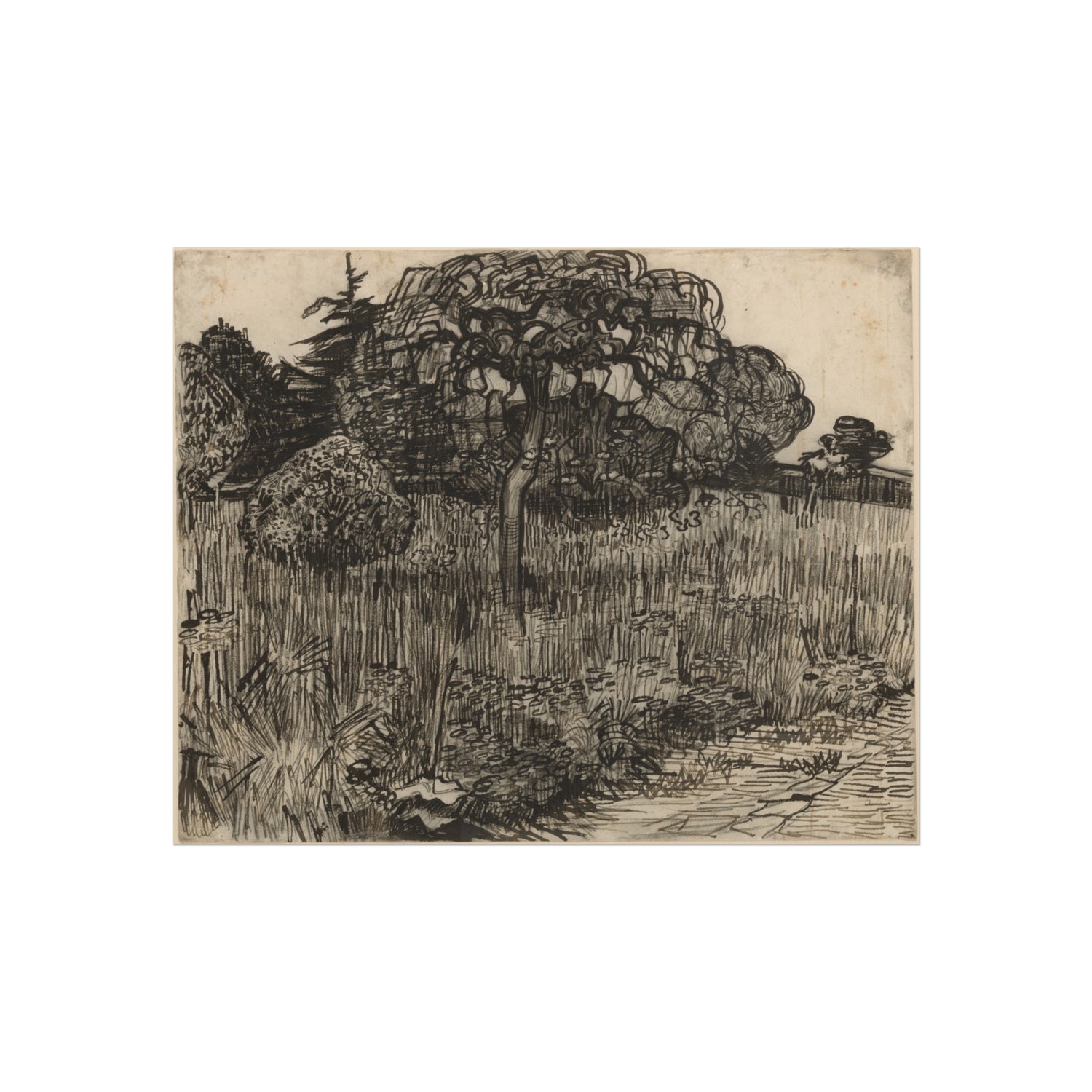 Vincent van Gogh - Weeping Tree | Fine Art Poster