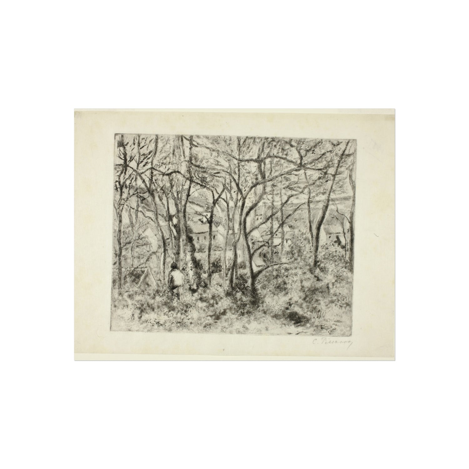 Camille Pissarro - Woodlands at the Hermitage | Fine Art Poster