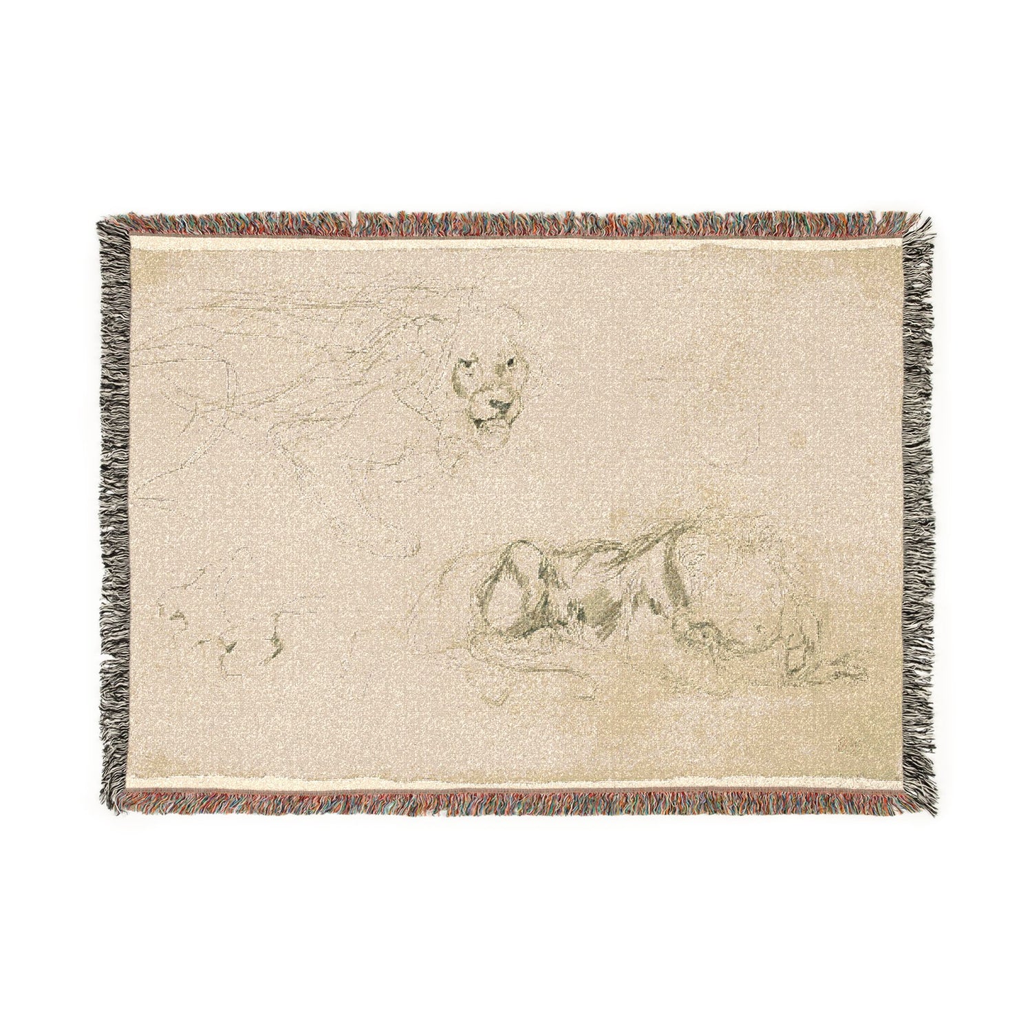 Studies of Lions - Eugène Delacroix Tapestry Blanket