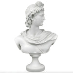 White Apollo Belvedere bust sculpture in profile, curly hair and draped toga on a round pedestal