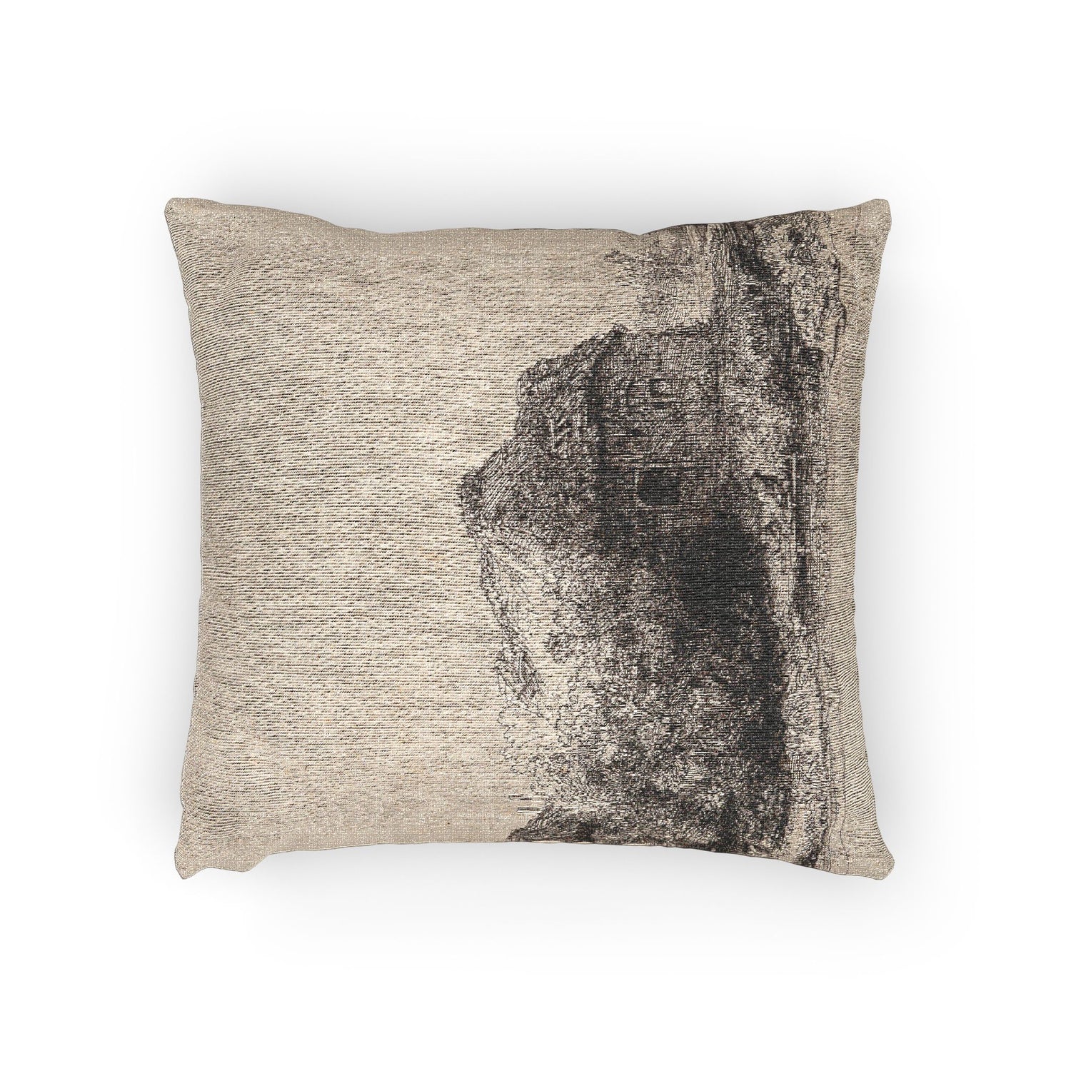 Landscape with Cottages and a Hay Barn - Rembrandt van Rijn Pillow