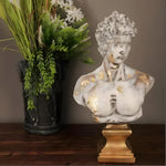 Distressed white David bust with gold-leaf flecks on gold pedestal by greenery