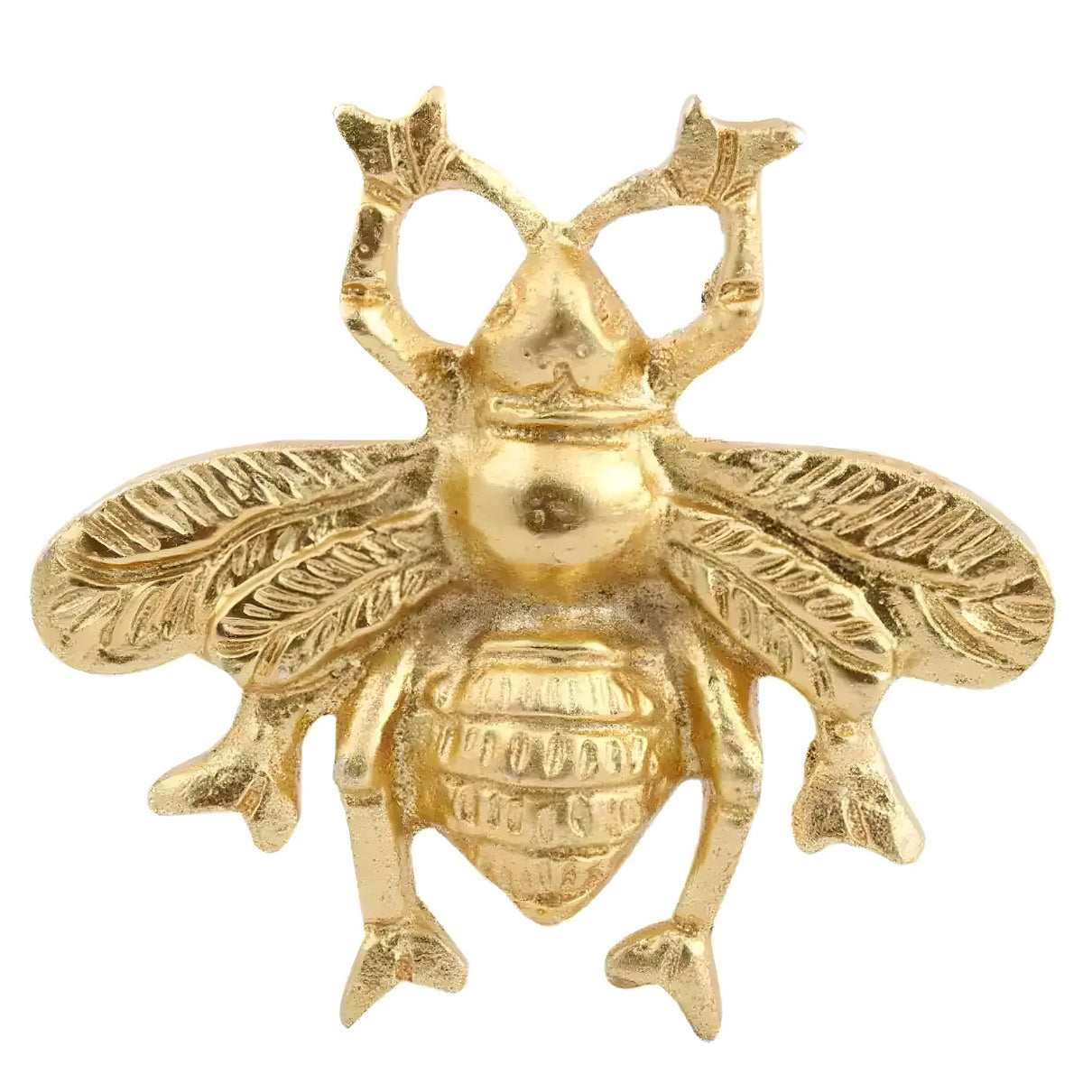 Brass bumble bee cabinet knob with finely textured wings and body on white