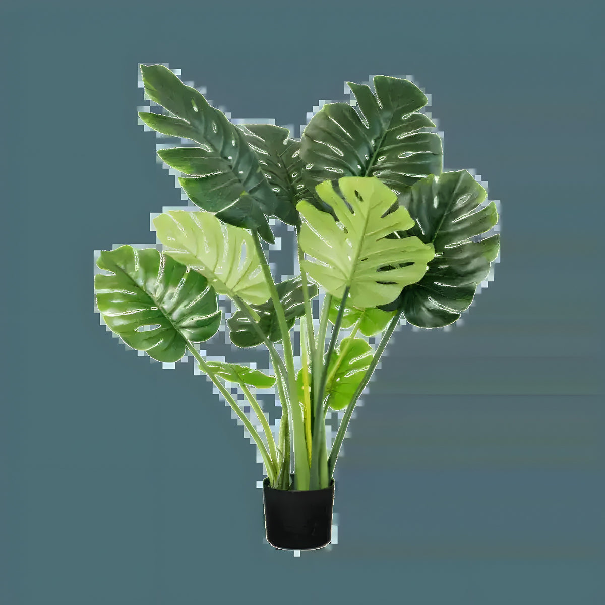 Artificial Monstera Deliciosa tree with large split leaves in black pot on light grey background