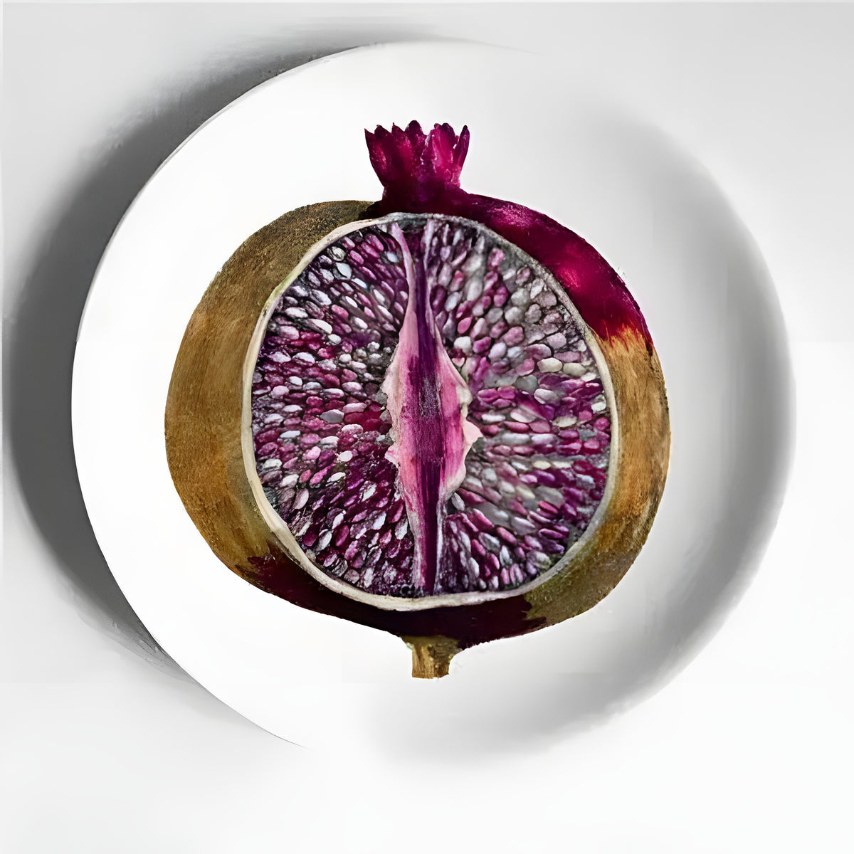 White ceramic plate with botanical pomegranate cross-section print — deep magenta seeds on white porcelain
