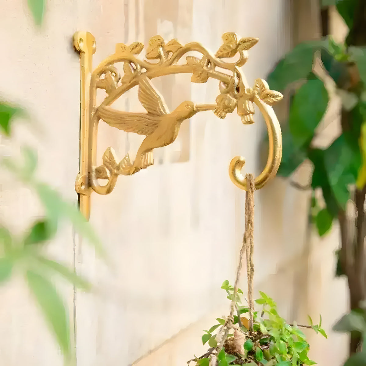 Gold cast metal hummingbird plant wall hanger mounted on cream garden fence holding a hanging basket