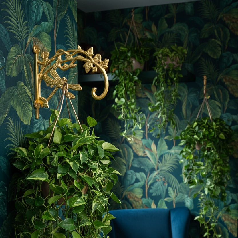 Golden Dragonfly Plant Wall Hangers - Set of 2 styled in a room setting