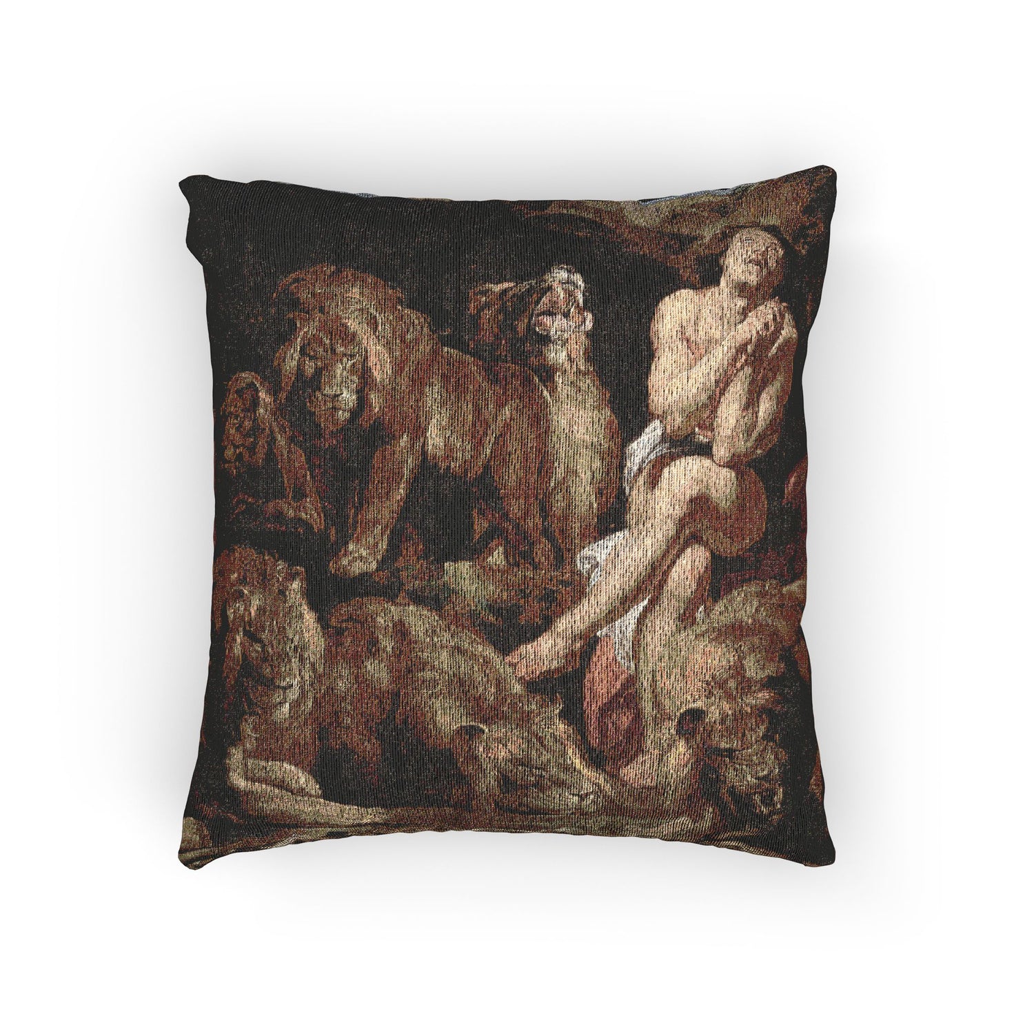 Daniel in the Lions' Den - Peter Paul Rubens Pillow