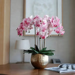 Five-stem pink phalaenopsis orchid arrangement in hammered gold pot on wood desk in soft room setting