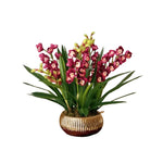 Purple cymbidium orchid arrangement with multiple blooming stems and green leaves in a ribbed golden bowl pot