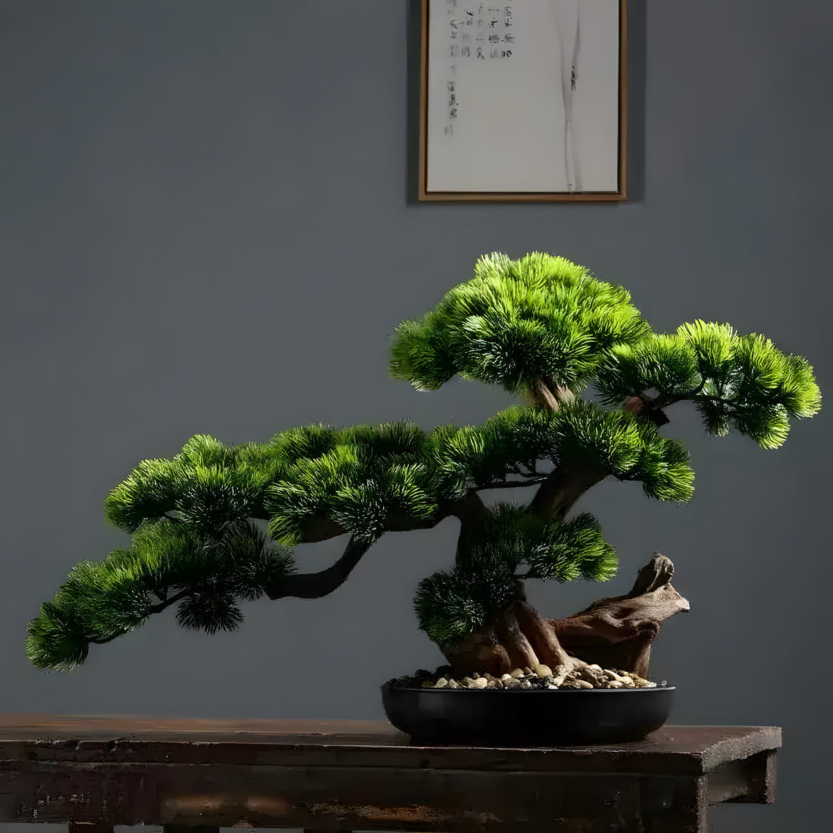 Artificial bonsai with real twisted trunk and cascading green pine branches in dark bowl with white pebbles